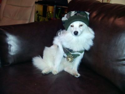 Dog profile photo