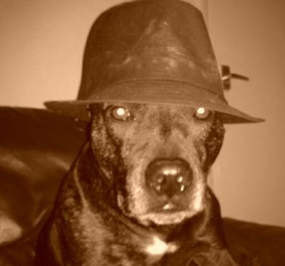 Dog profile photo