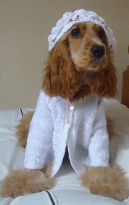 Dog profile photo