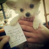 Story photo